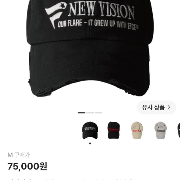ETCE 뉴비전 디스트로이드 워싱 캡 블랙