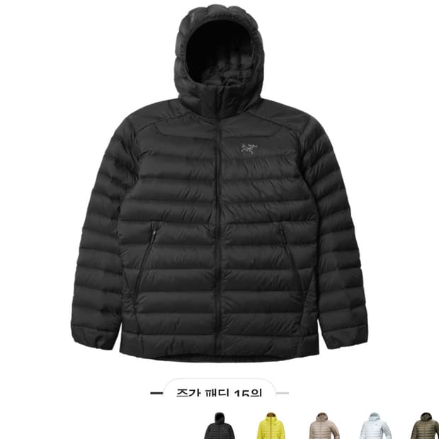 아크테릭스 세륨 후디 s사이즈 