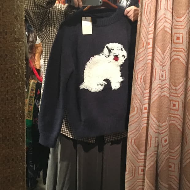 [Tokyo] 눈이 가려진 비숑 니트