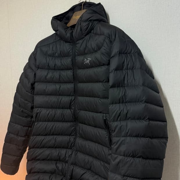 아크테릭스 세륨 L 사이즈