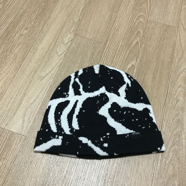 아크테릭스 비니