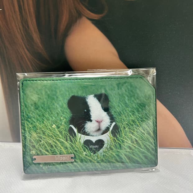 미세키서울 레이 팝업 카드지갑