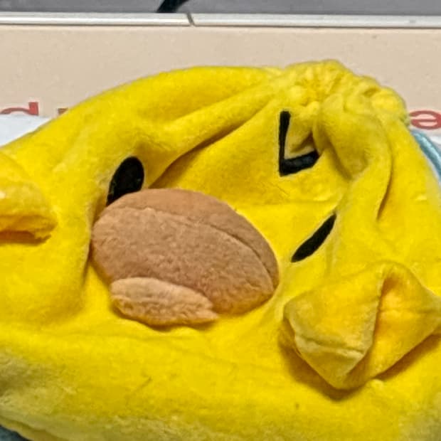 혜인서 노트캡(결제 창)