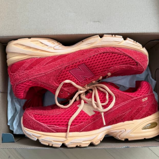 엑슬림 뉴발란스 509 딥레드