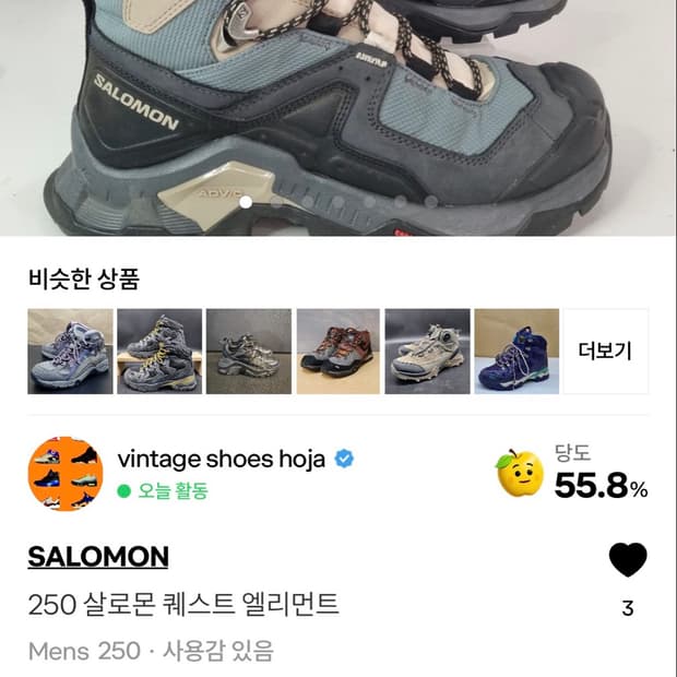 250 살로몬 퀘스트 엘리먼트(재판매)