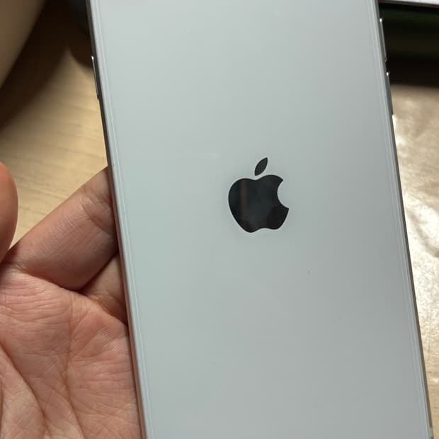 아이폰se2 256기가 배터리100%