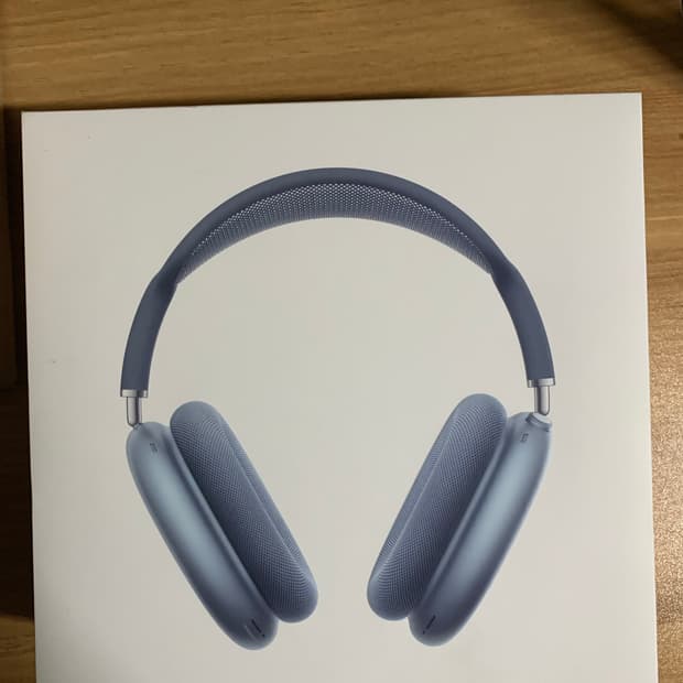 에어팟 맥스 C타입 블루