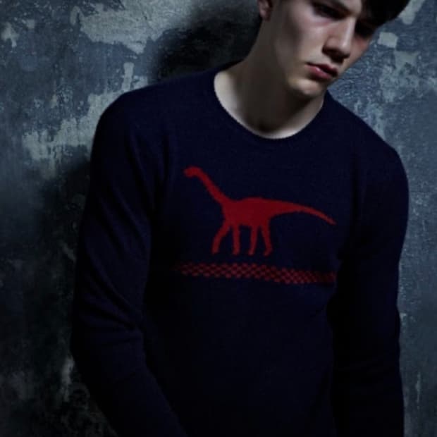 Jil Sander by Raf Simons dino sweater