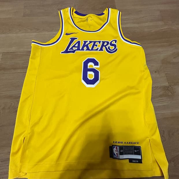 나이키 르브론 제임스 유니폼