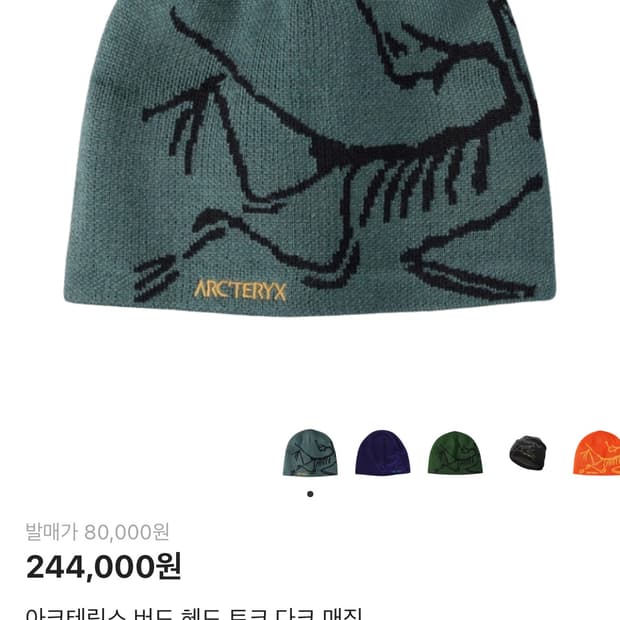 아크테릭스 버드 헤드 토크 비니