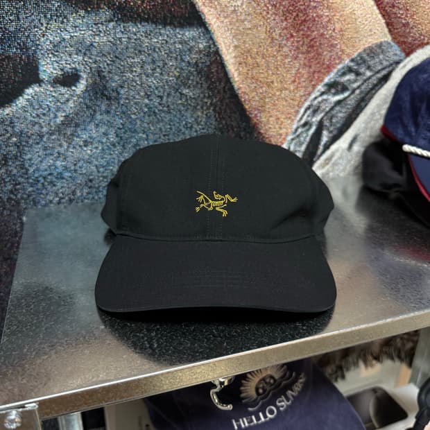 아크테릭스 버드 볼캡