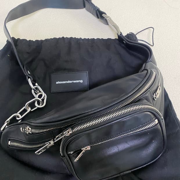 알렉산더왕 패니백