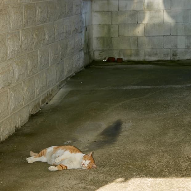 lwishuknew님 개인결제창