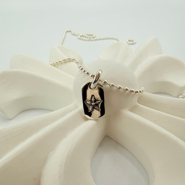 크롬하츠 도그텍 타이니 스타 