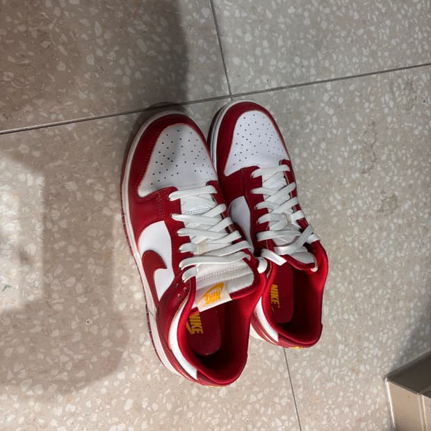 나이키 덩크 270