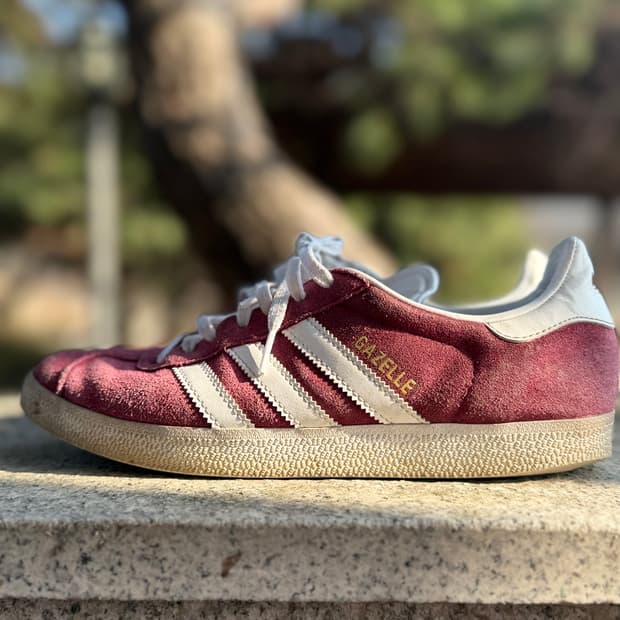 아디다스 가젤 버건디 255