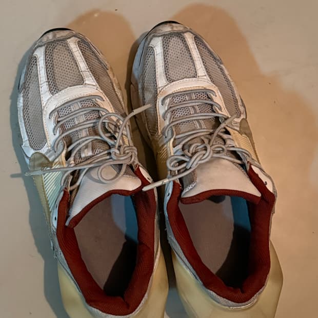 나이키 어콜드월 270