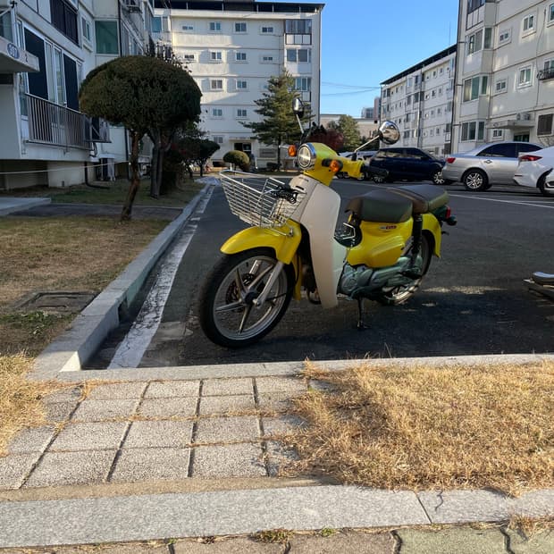 2020년식 옐로우 슈퍼커브