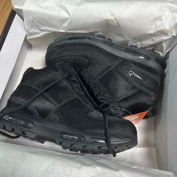 고아돔 송치 270