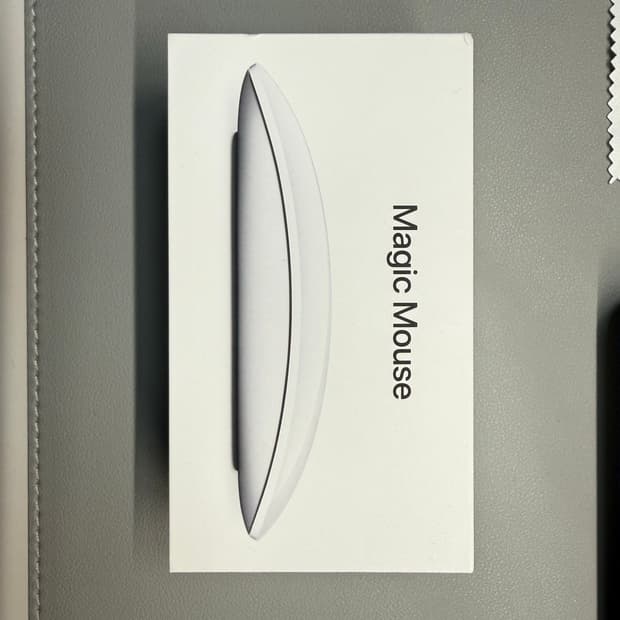 애플 매직마우스