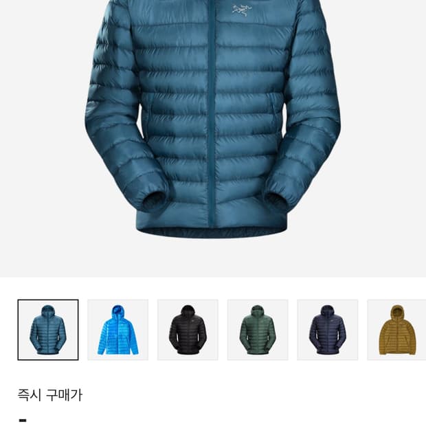 아크테릭스 세륨 LT 후디 Forcefield