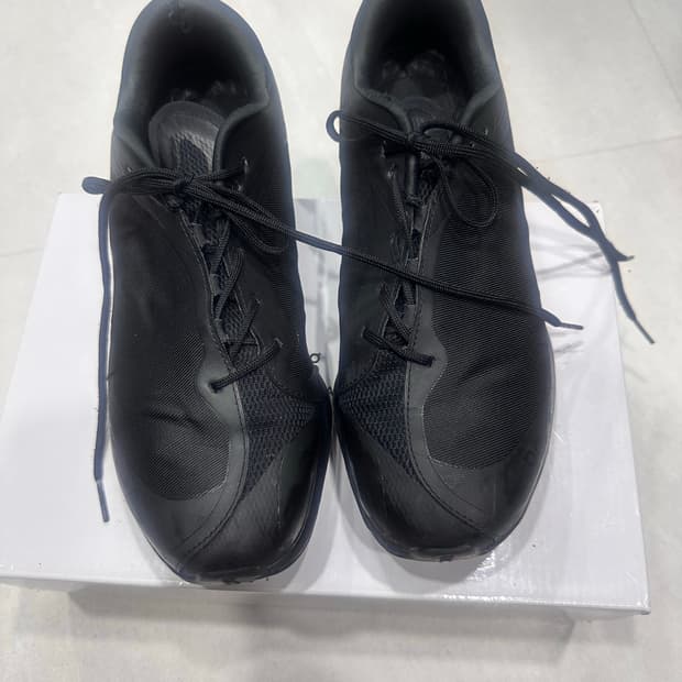 파프 온러닝 255