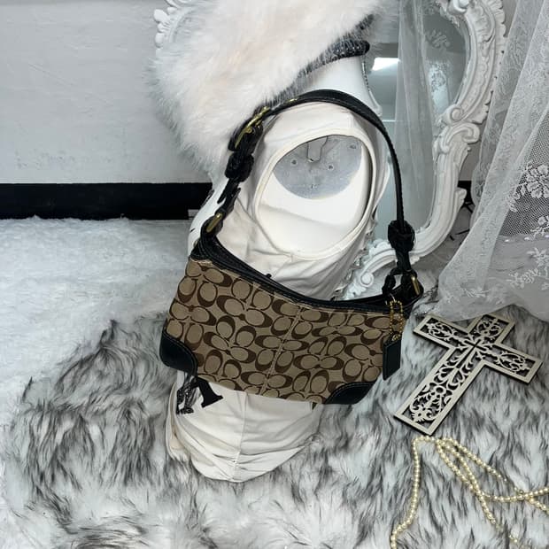 Coach 브라운 미니 핸드백