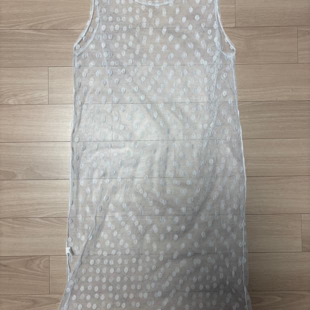 땡땡이 시스루 원피스