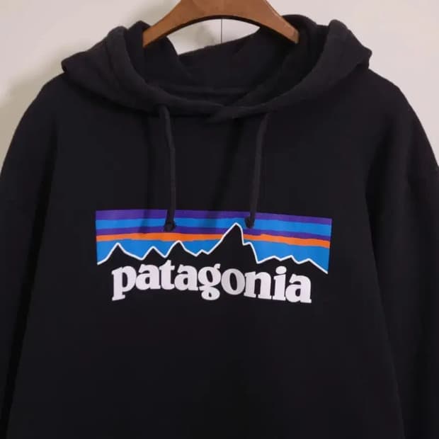 파타고니아 후드티