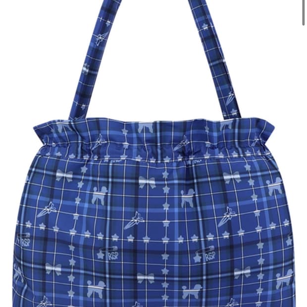라즈베리파이 blue rsp check Padding bag