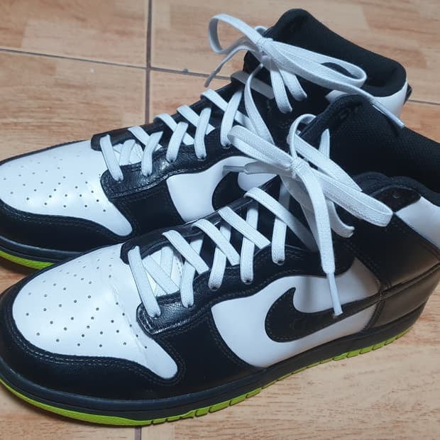 나이키 덩크하이 일렉트릭 275