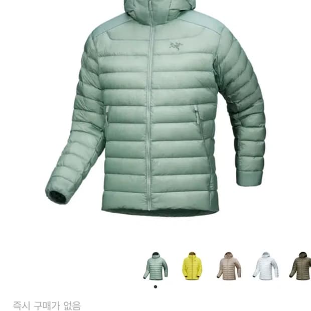 구해요)) 아크테릭스 세륨 후디 스톤그린 xs 구합니다