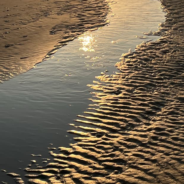 *jrururu님 개인결제창-💜(레오파드)*