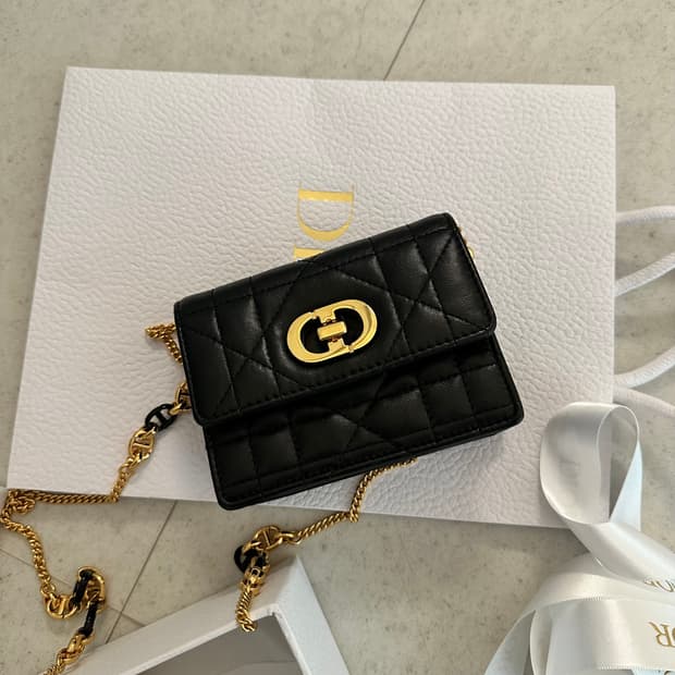 디올 미스 카로 마이크로 백