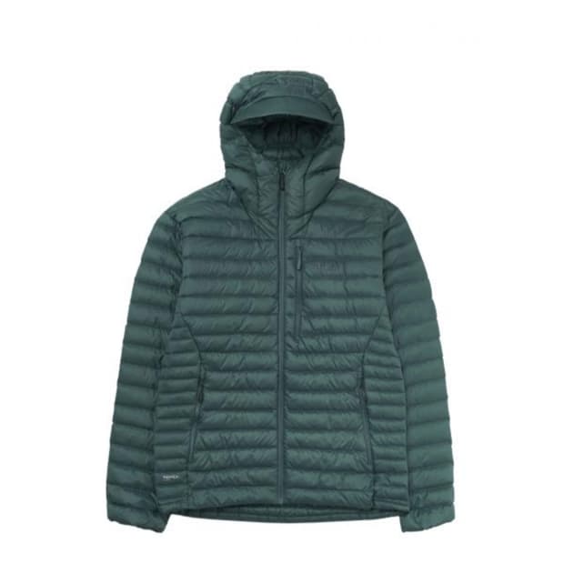 랩 마이크로알파인 세이지 새상품