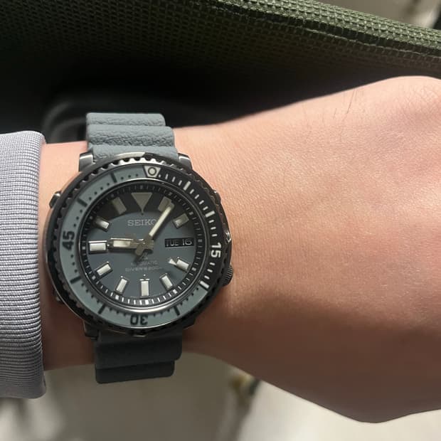 세이코 ProspeX SRPE31K1 사파리 그레이 오토매틱 베이비튜나