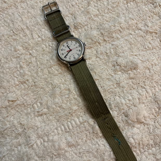 Timex Watch