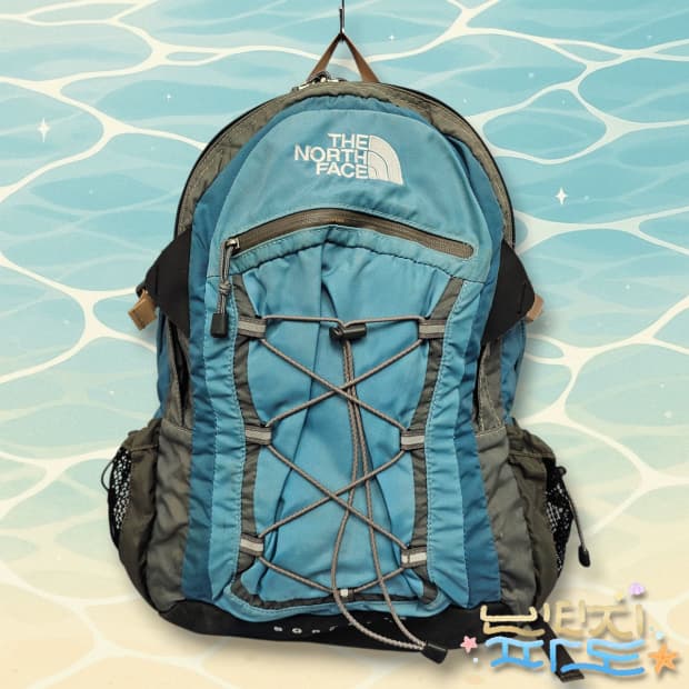 노스페이스 보레알리스 30L 백팩