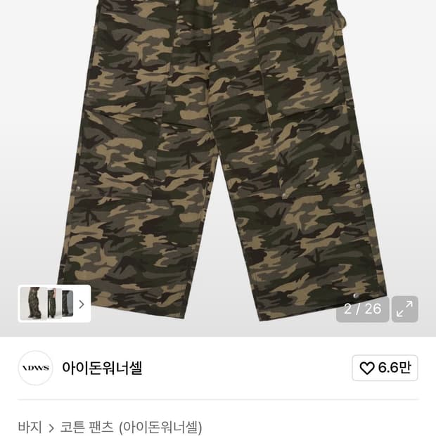 idws 카모 팬츠 L