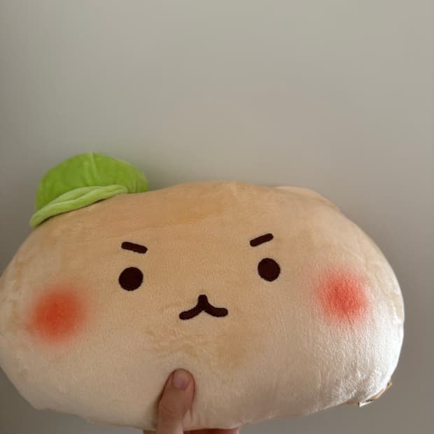 새상품) 망곰이 담요+쿠션 