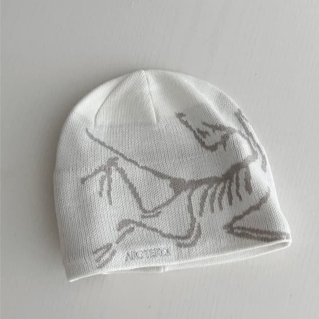 아크테릭스 비니 Arc'teryx Bird Head Toque Rune