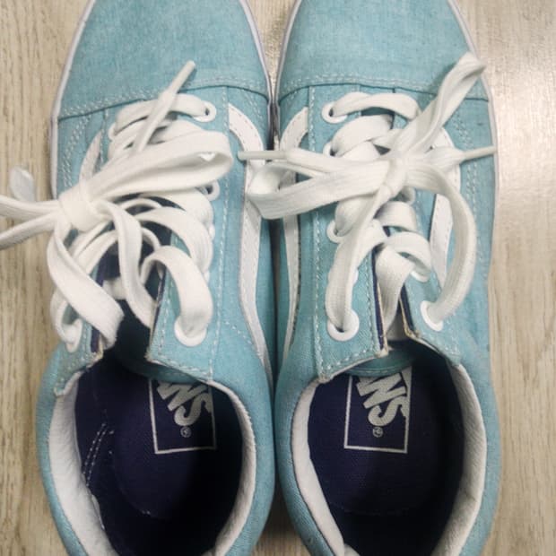 반스 올드스쿨 225