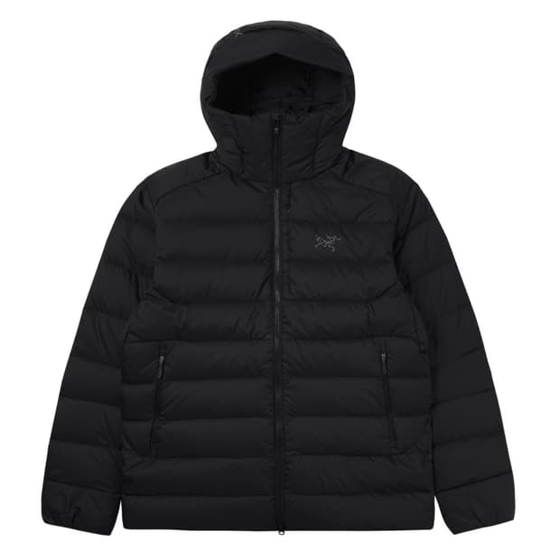 [L] 아크테릭스 24FW 토륨 후디 블랙