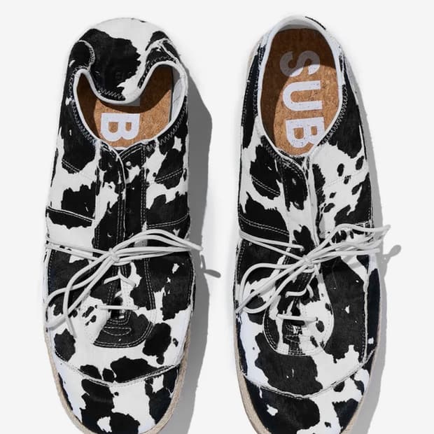 서브카테고리 f161 dalmatian 280