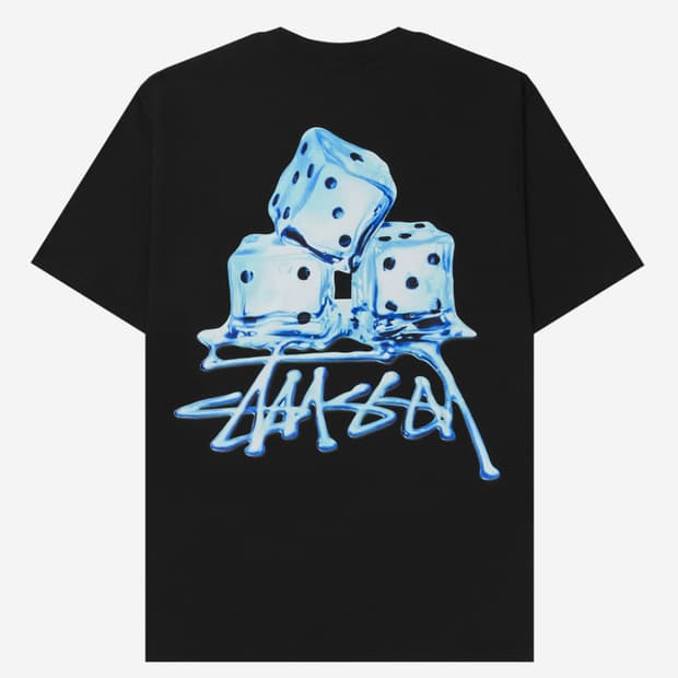 스투시 melted T-shirts