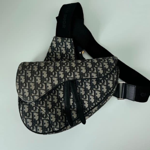 디올 오블리크 새들백