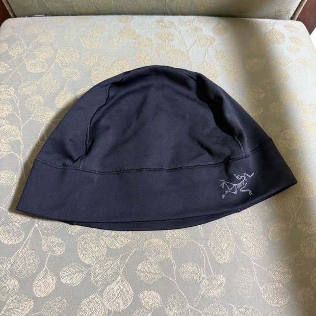 아크테릭스 모투스 비니