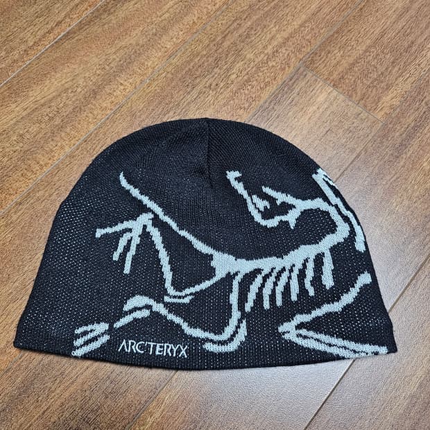 아크테릭스비니