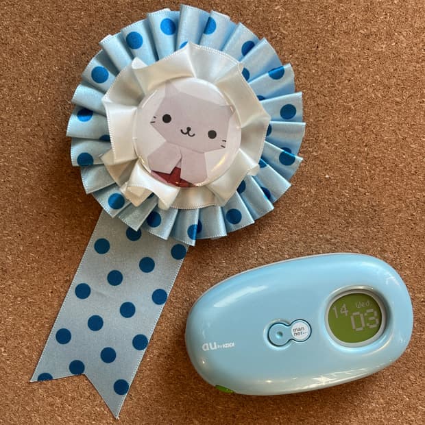 냥냥냥코 로제트 🐾