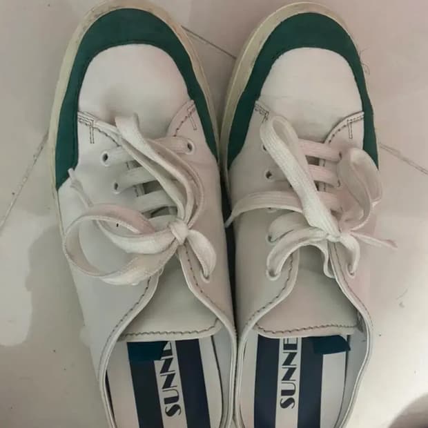 써네이 사보 그린(42)